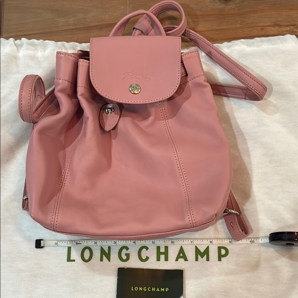 Longchamp Pink Leather Women's Bag
